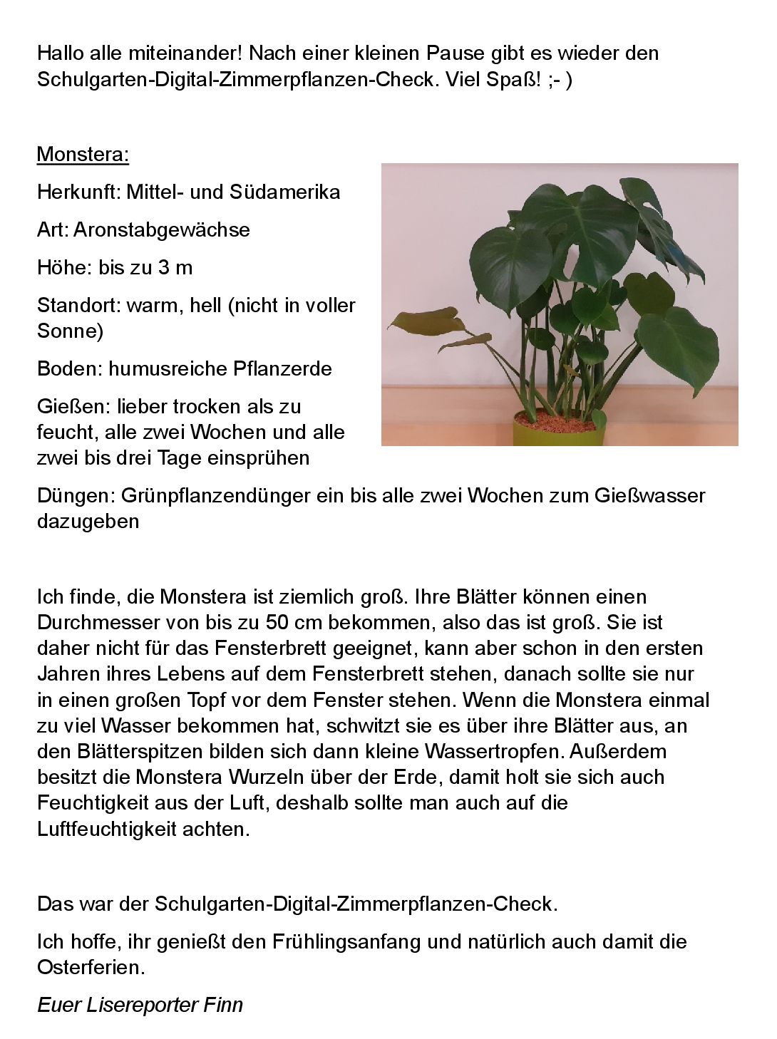 Schulgarten-Digital-Zimmerpflanzen-Check_Folge_4.png